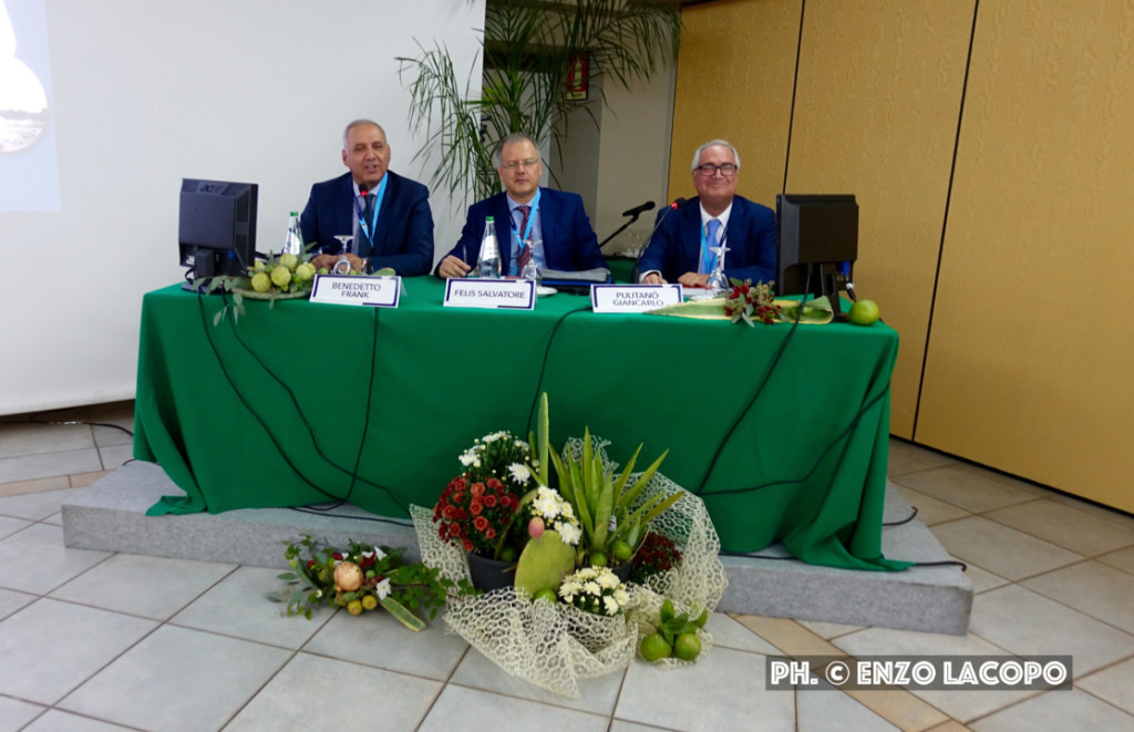 Siderno Congresso SIEC