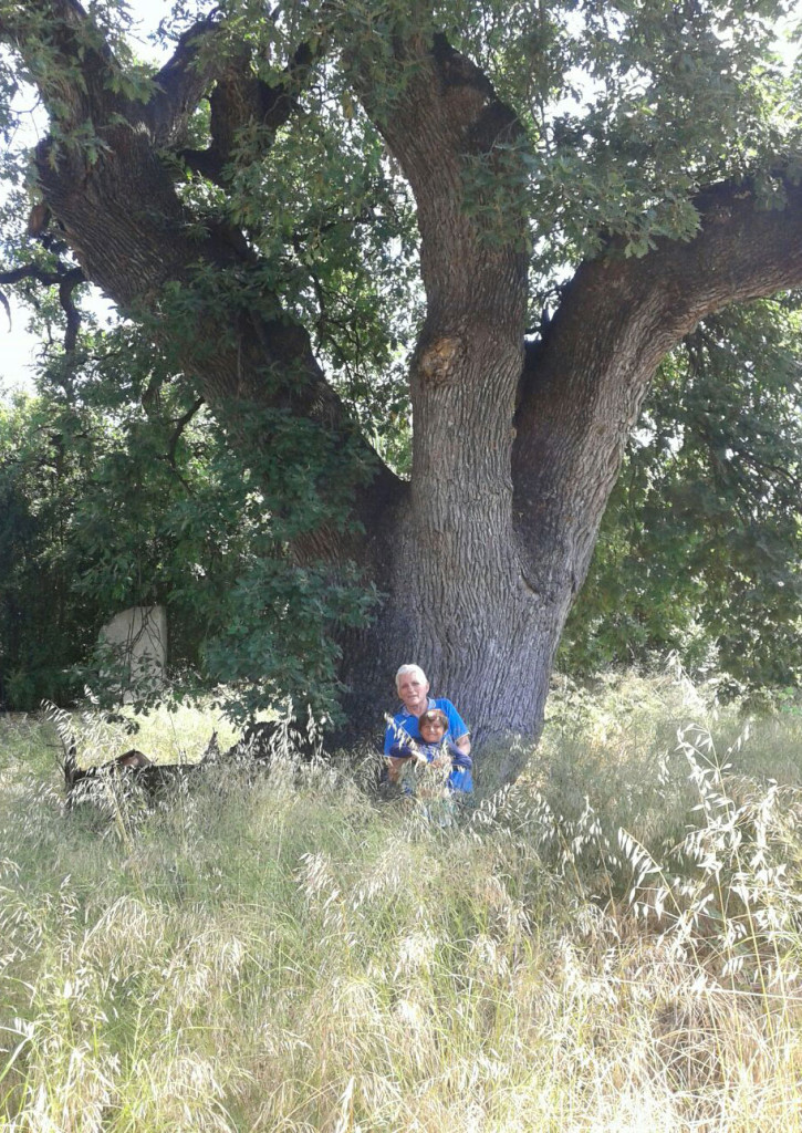 quercia-calafati