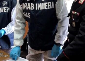 REGGIO CALABRIA Controlli alle mense scolastiche:42 ispezioni del Nas