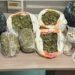 Carabinieri arrestano diciannovenne in possesso di 10 kg di droga
