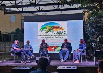 CALABRIA NOVA: L’expò delle eccellenze agricole calabresi: workshop, artigianato, musica e tradizioni