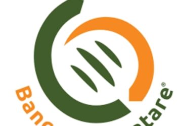28ma edizione della “Giornata Nazionale della Colletta Alimentare” 2024