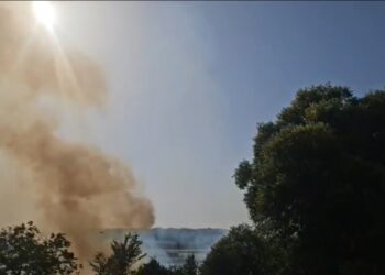 Rizziconi: massimo intervento dei Vigili del Fuoco per dominare incendio