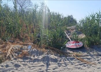 Caulonia: Un danno che colpisce tutti