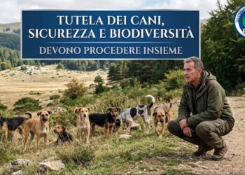 Piano Battaglia, REA: “Tutela animale, sicurezza e salvaguardia del territorio non sono negoziabili
