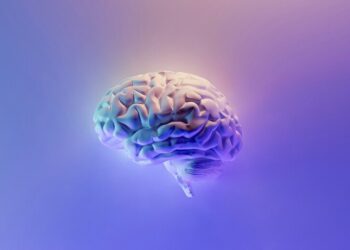 Importante scoperta scientifica: il cervello non è uno solo, ma è composto da due organi distinti