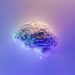 Importante scoperta scientifica: il cervello non è uno solo, ma è composto da due organi distinti