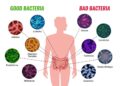 Ricerca Gemelli: il microbiota intestinale anticipa le malattie del futuro