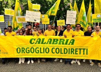 Autotrasporto, Coldiretti Calabria: Positivi gli incontri con I prefetti